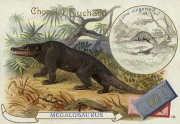 Megalosaurus and otter